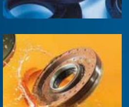 Cassette Seal