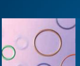 O-ring