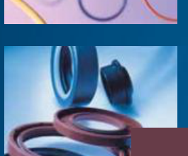 Oil Seal